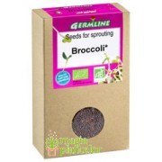 Broccoli bio seminte germinat 150 G - Bioholistic